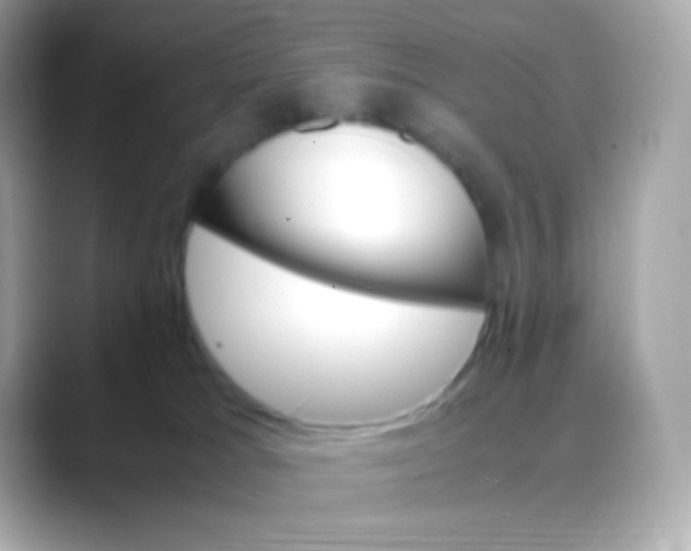 X0000088460037200706051332