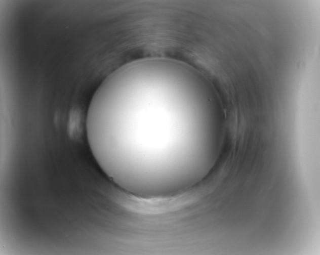 X0000088460038200706051332