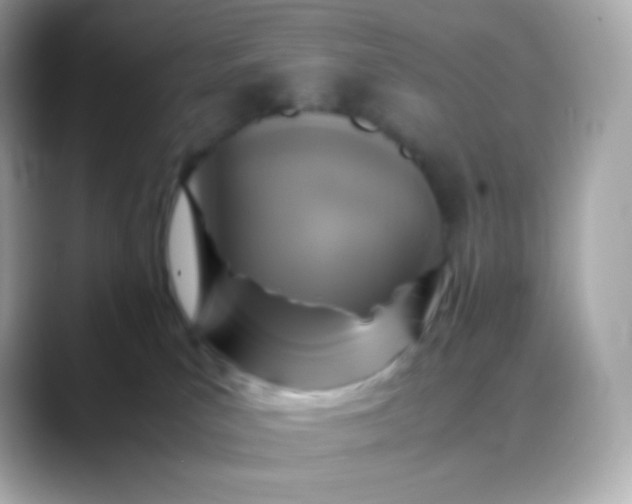 X0000088460039200706051332