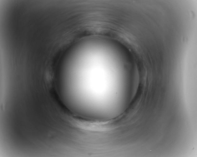 X0000088460040200706051332