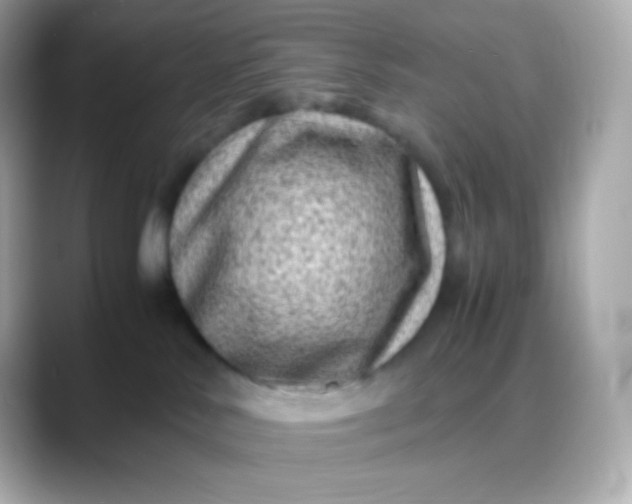 X0000088460042200706051332