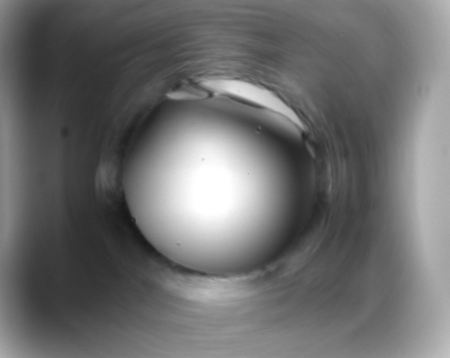 X0000088460044200706051332