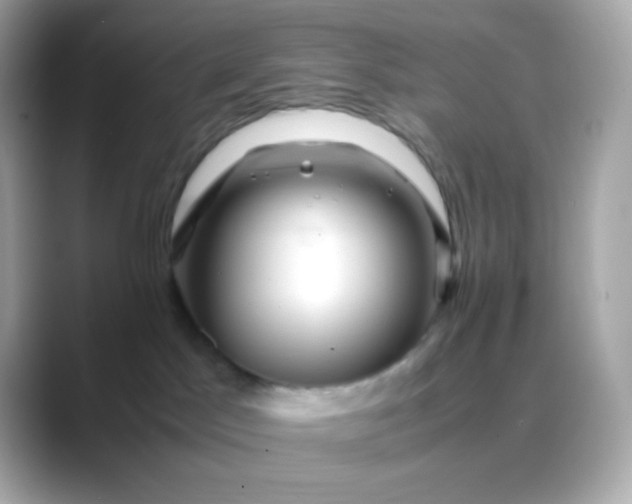 X0000088460045200706051332