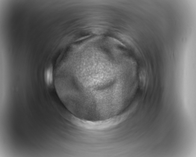 X0000088460046200706051332