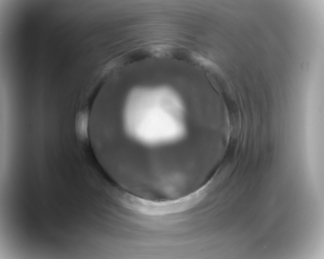 X0000088460047200706051332