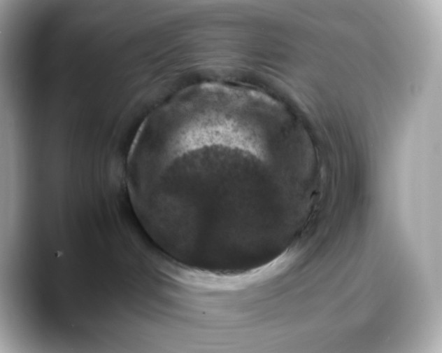 X0000088460048200706051332