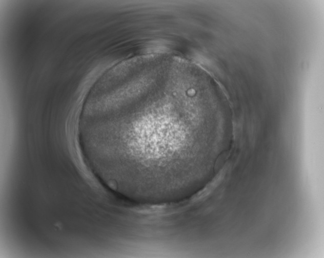 X0000088460049200706051331