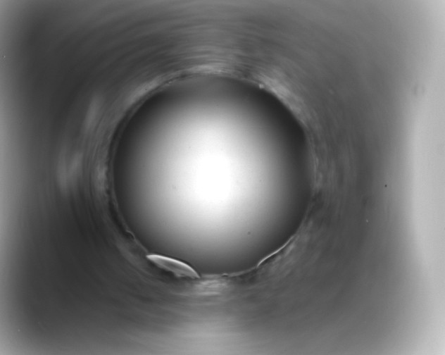 X0000088460050200706051331