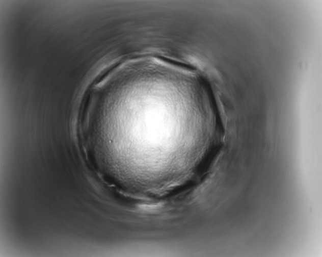 X0000088460051200706051331