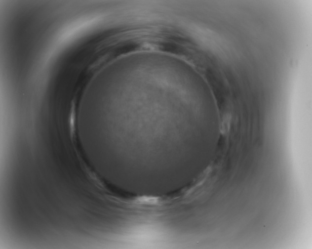 X0000088460052200706051331