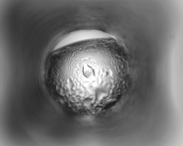 X0000088460053200706051331