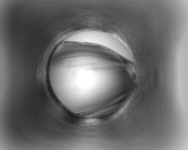 X0000088460055200706051331