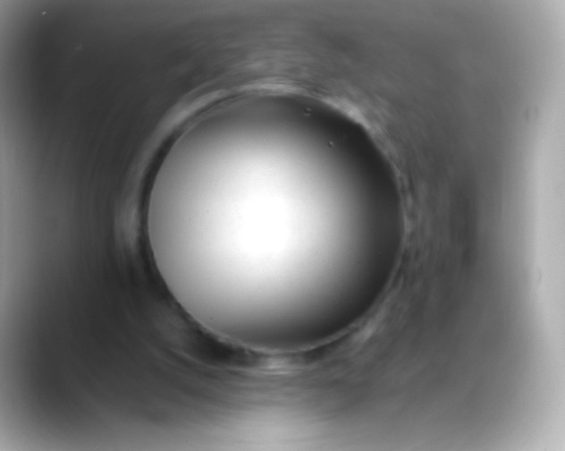 X0000088460056200706051331