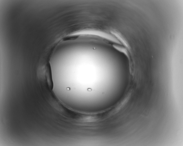 X0000088460057200706051331