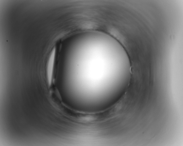 X0000088460058200706051331