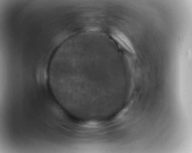 X0000088460059200706051331