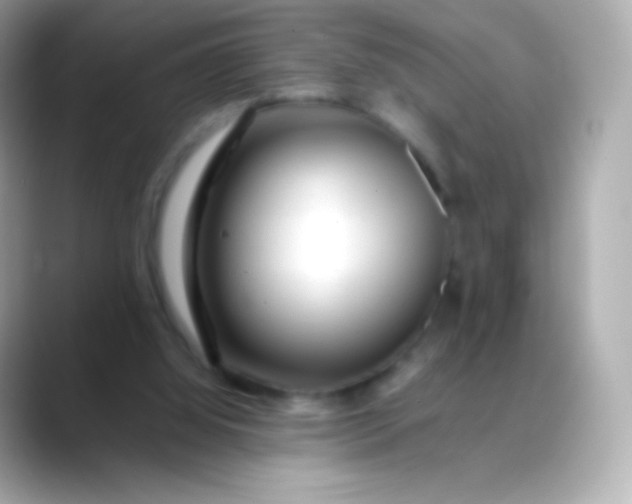 X0000088460060200706051331