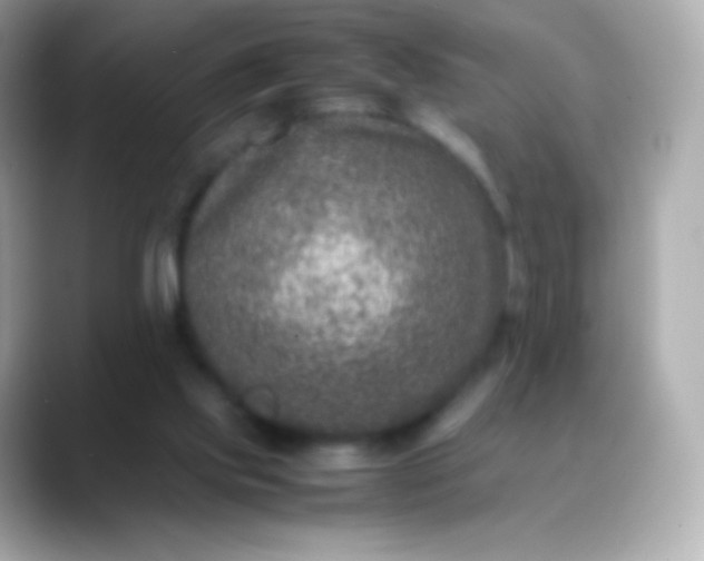 X0000088460061200706051331