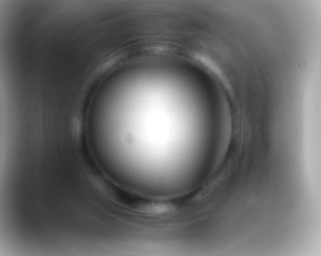 X0000088460063200706051332