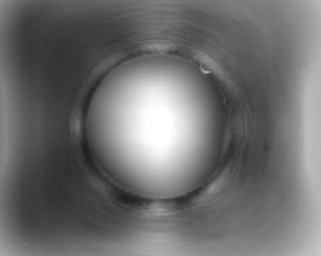 X0000088460064200706051332