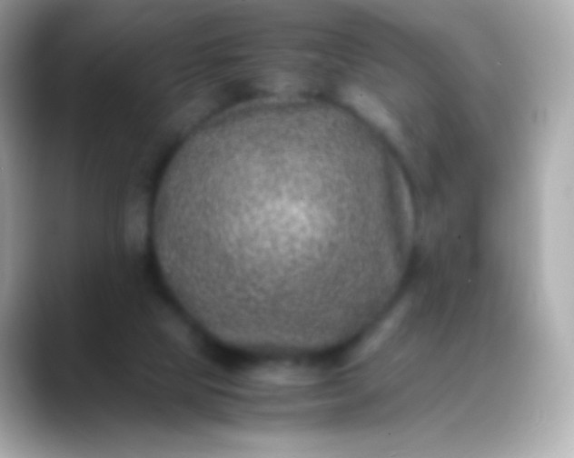 X0000088460065200706051332