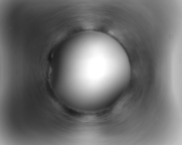 X0000088460066200706051332