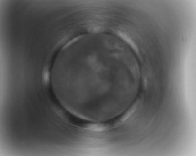 X0000088460067200706051332