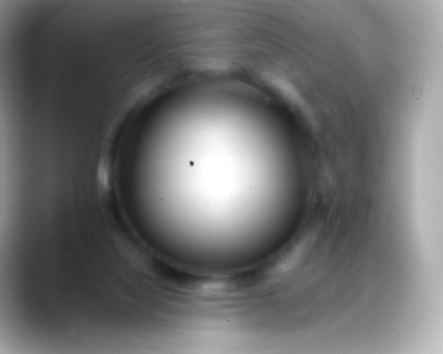 X0000088460068200706051332