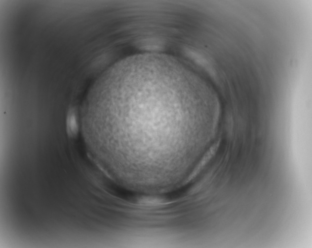 X0000088460069200706051332