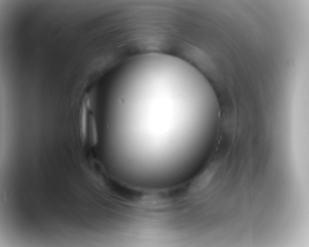 X0000088460070200706051332