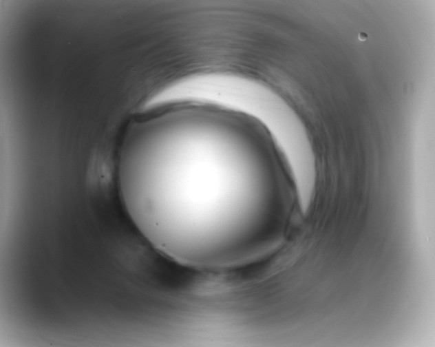 X0000088460072200706051332