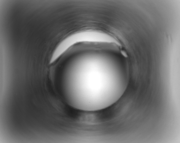 X0000088460073200706051332