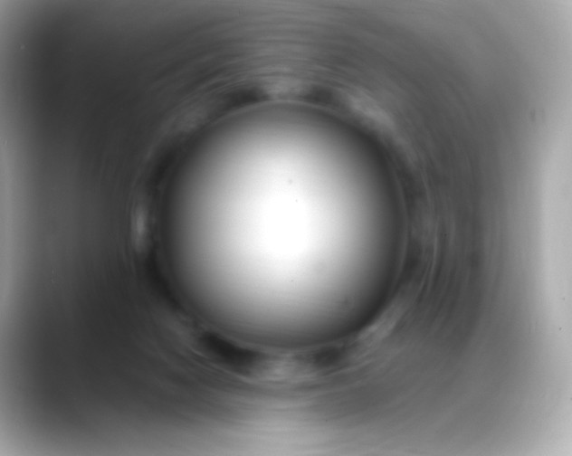 X0000088460074200706051332