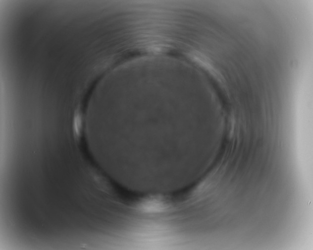 X0000088460076200706051332