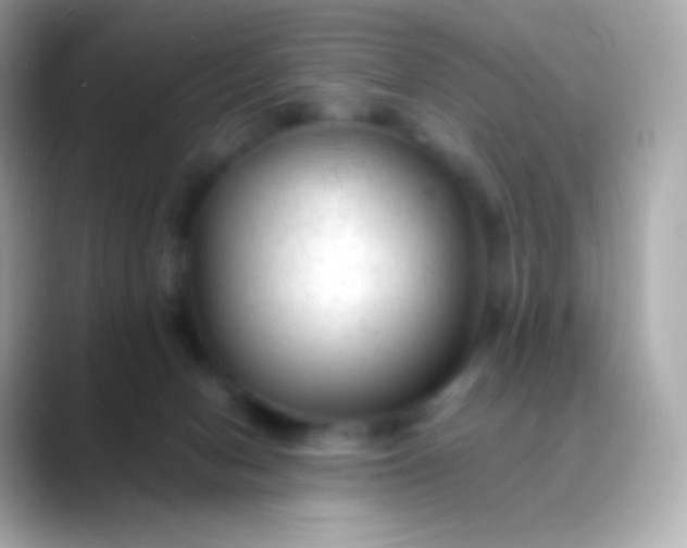 X0000088460078200706051332