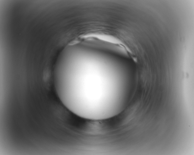 X0000088460079200706051332