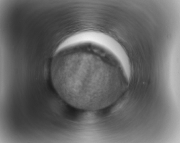 X0000088460080200706051332