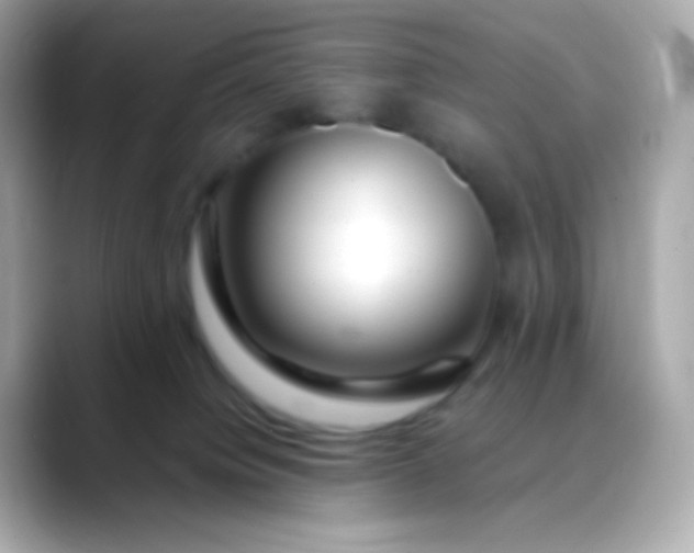 X0000088460084200706051332