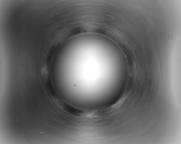 X0000088460086200706051332