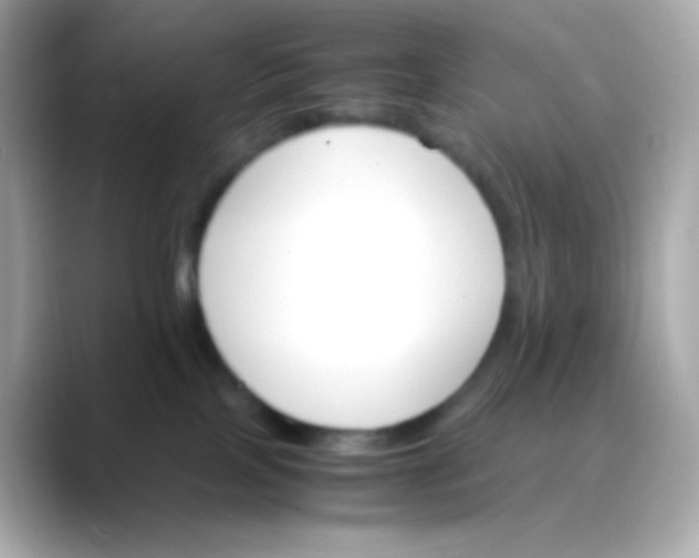 X0000088460089200706051332