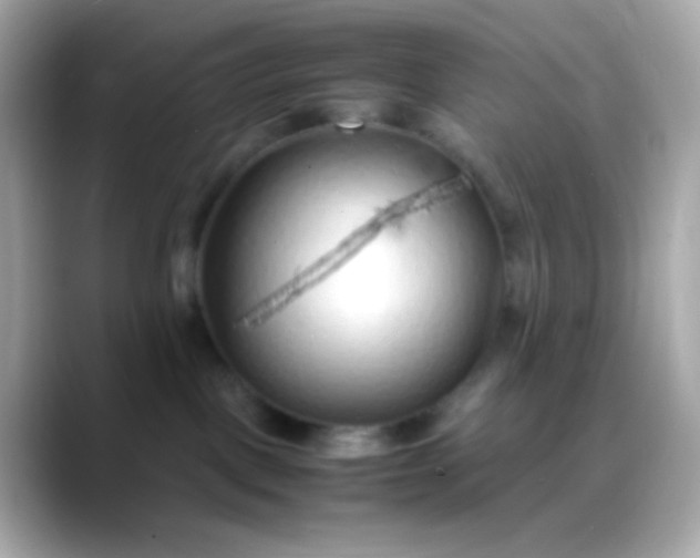 X0000088460093200706051332