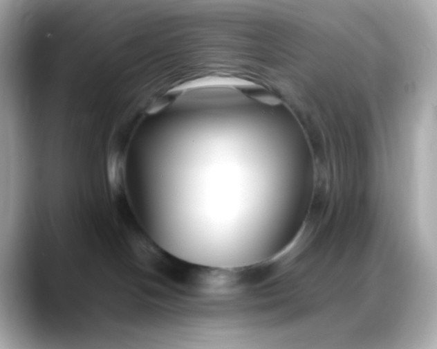 X0000088460094200706051332