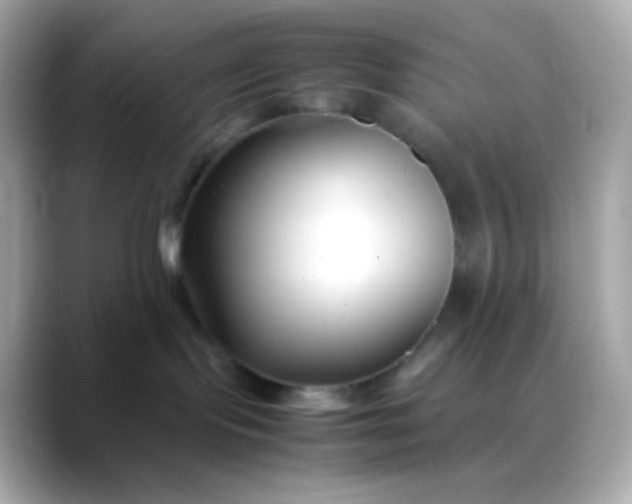 X0000088460095200706051332