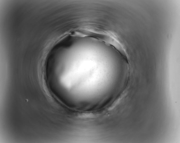 X0000088460097200706051331