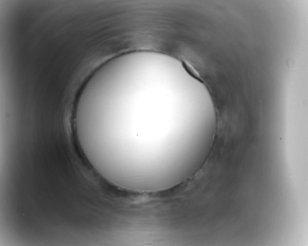 X0000088460098200706051331