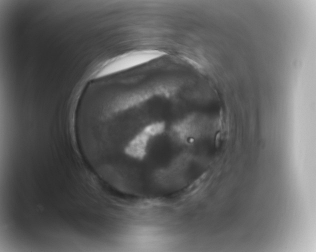 X0000088460099200706051331