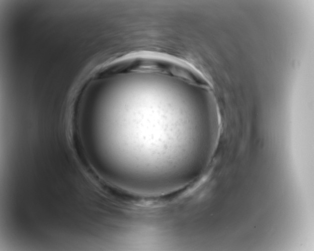 X0000088460101200706051331