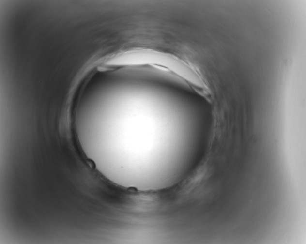 X0000088460102200706051331