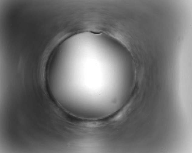 X0000088460103200706051331