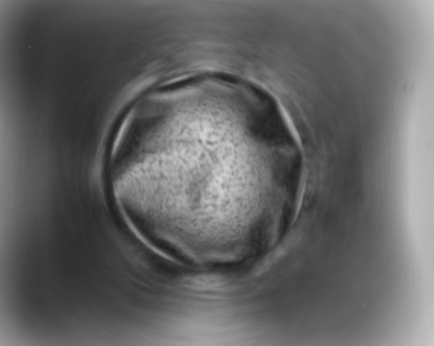 X0000088460104200706051331